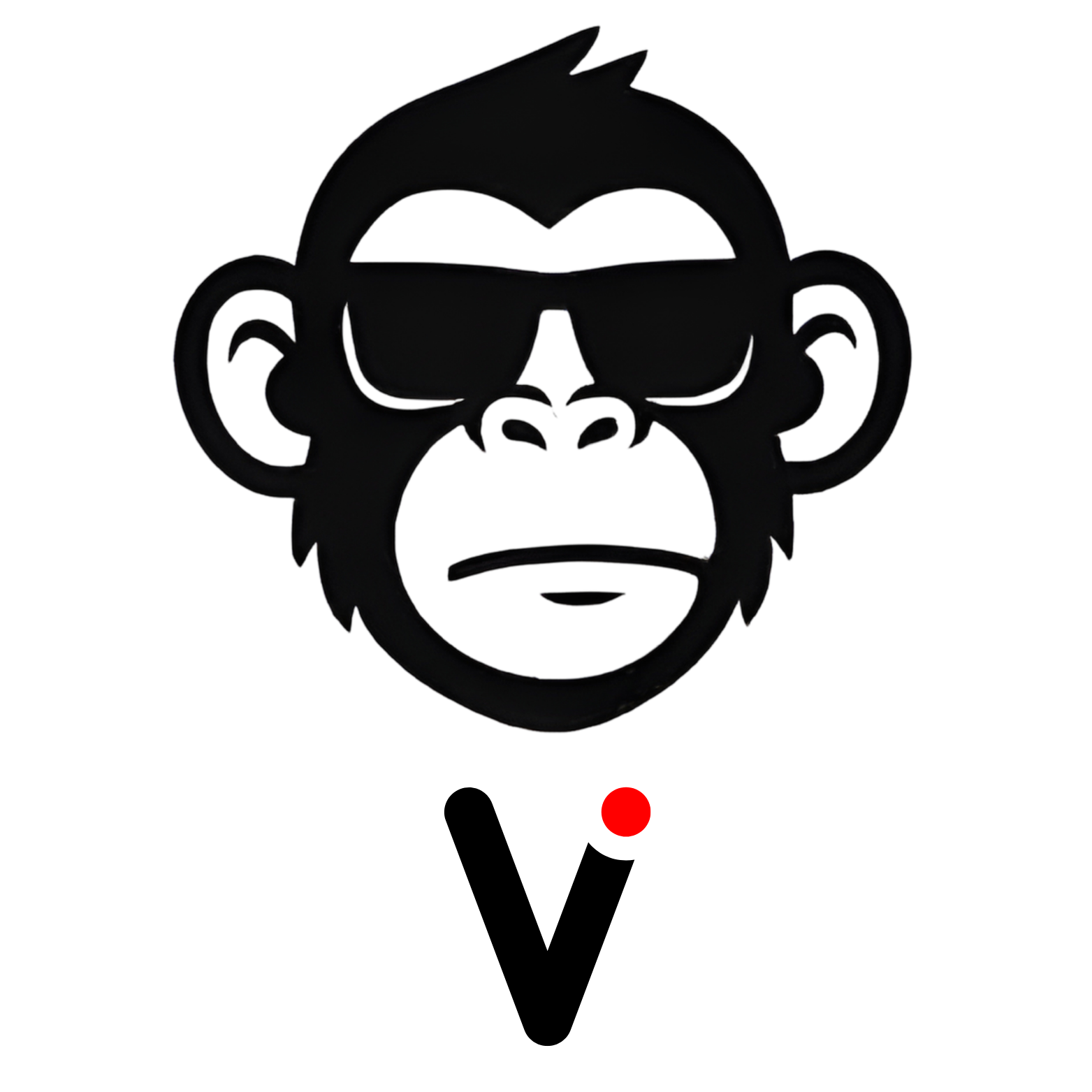 Vexora  Logo